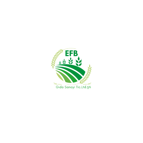 EFB